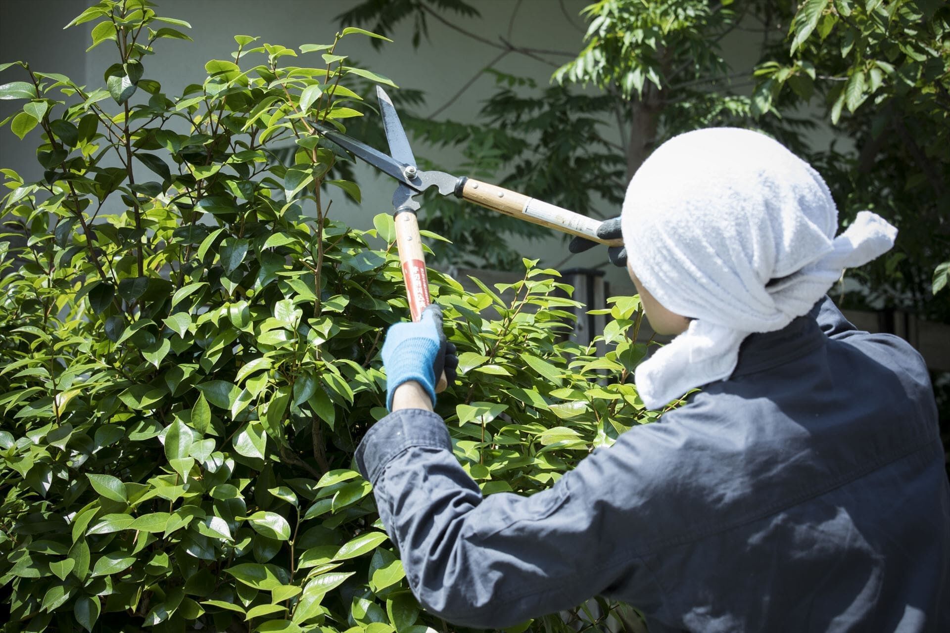 作業する植木職人 (1)